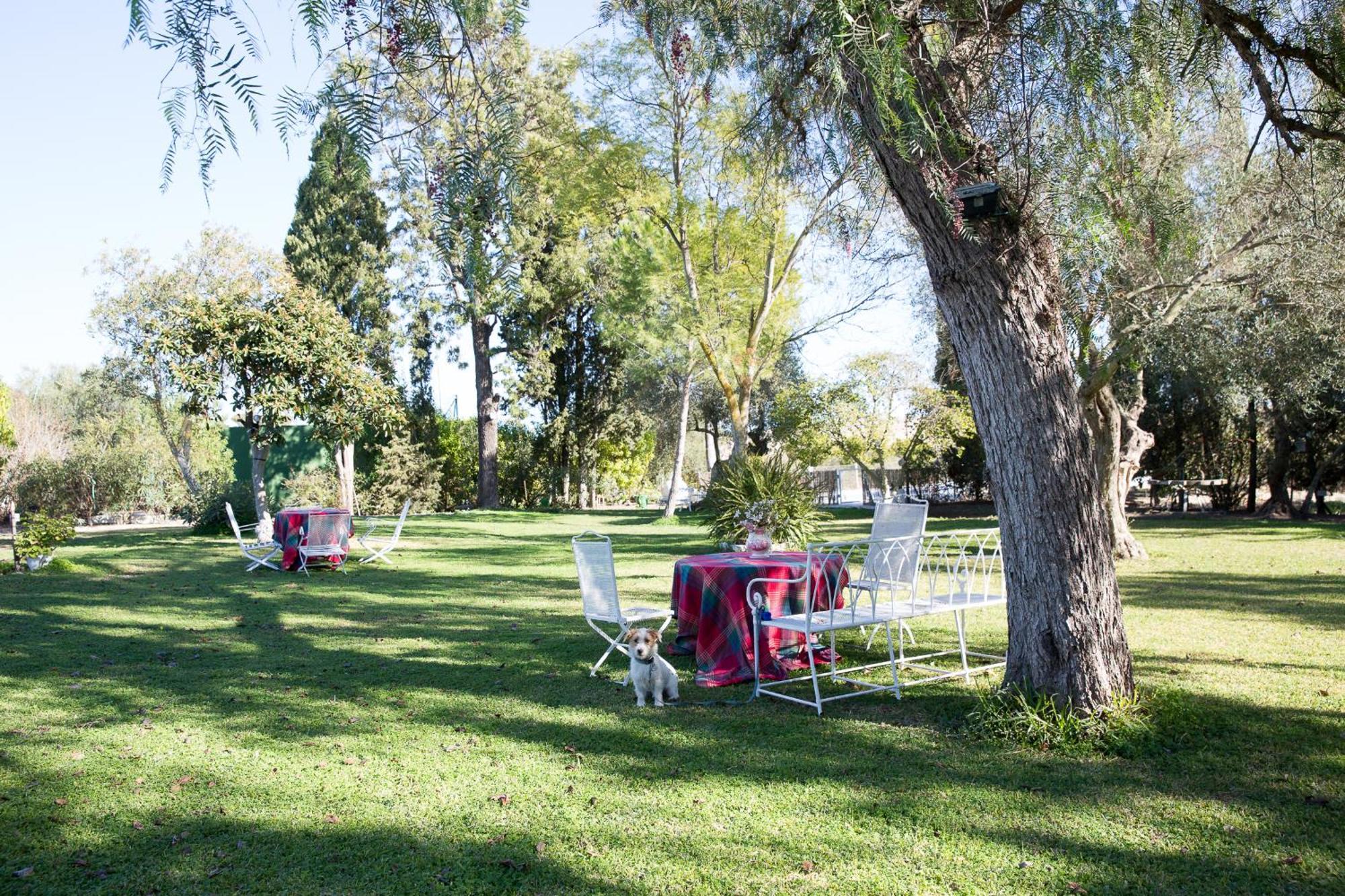 Villa Cortijo Rural La Mariscala Jerez de la Frontera Exterior foto