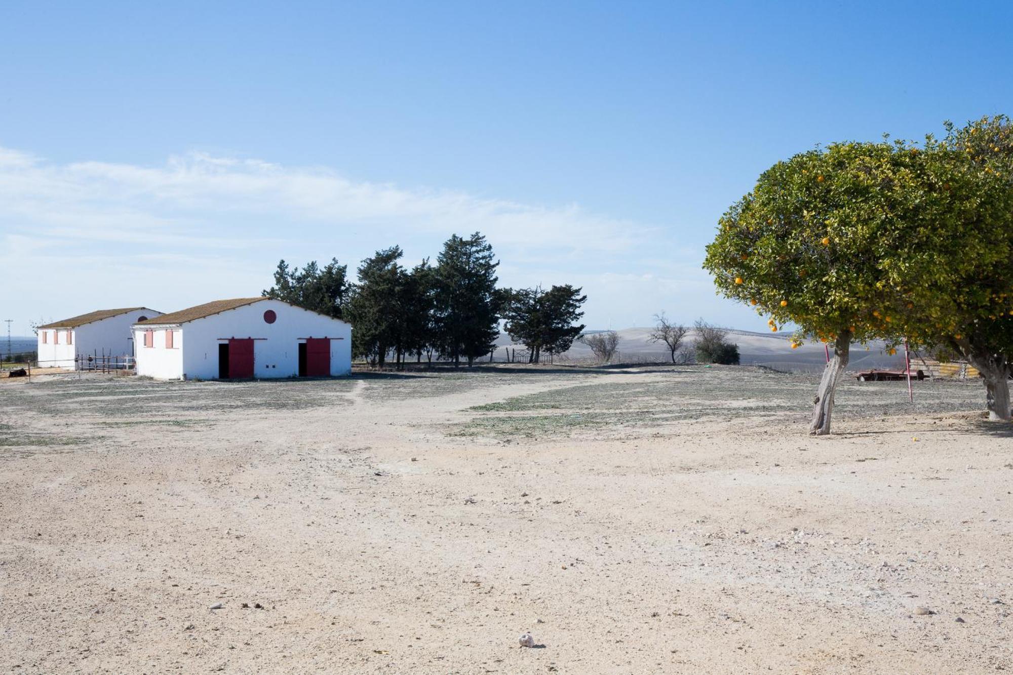 Villa Cortijo Rural La Mariscala Jerez de la Frontera Exterior foto